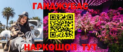 спиды Шахты