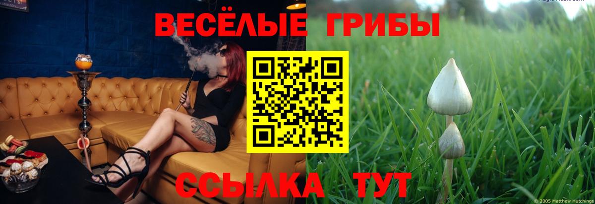 Галлюциногенные грибы прущие грибы Бор